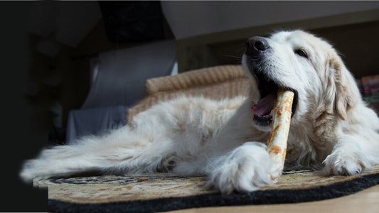 Earth Animal NO-HIDE Prirodne žvakaće L Govedina