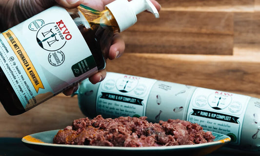 KIVO Sardinino Olje s kurkumo&ameriškim slamnikom 500ml