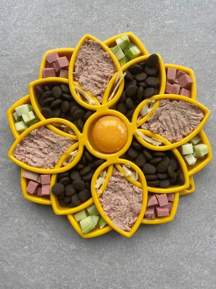 Sodapup MANDALA - Rumena