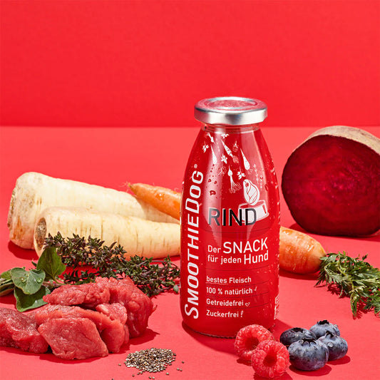 SMOOTHIE DOG - Pasji Smoothie – Govedina