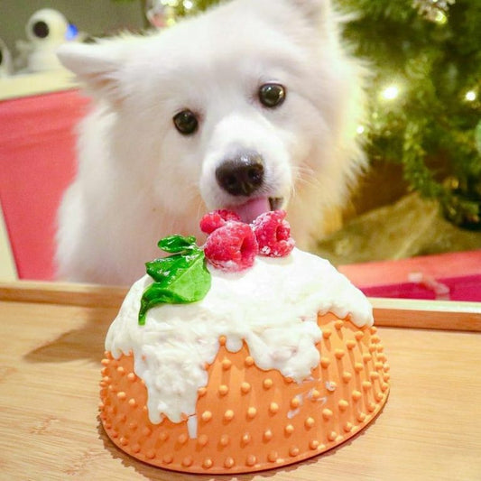 LickiMat Wobble posuda za sporo hranjenje