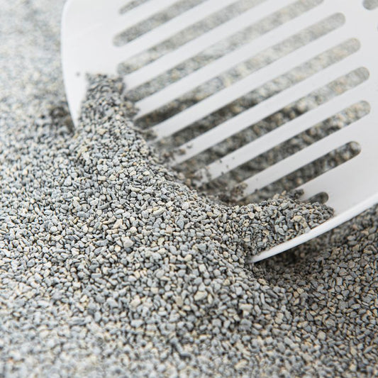 OdourLock posip za mačke