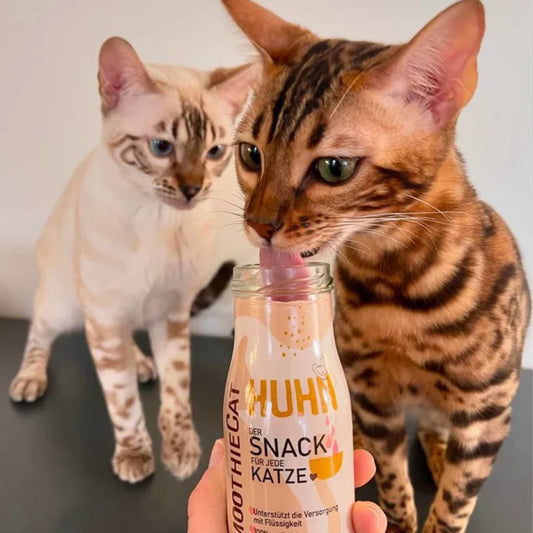 SMOOTHIECAT - Mačji smoothie - piščanec 150ml