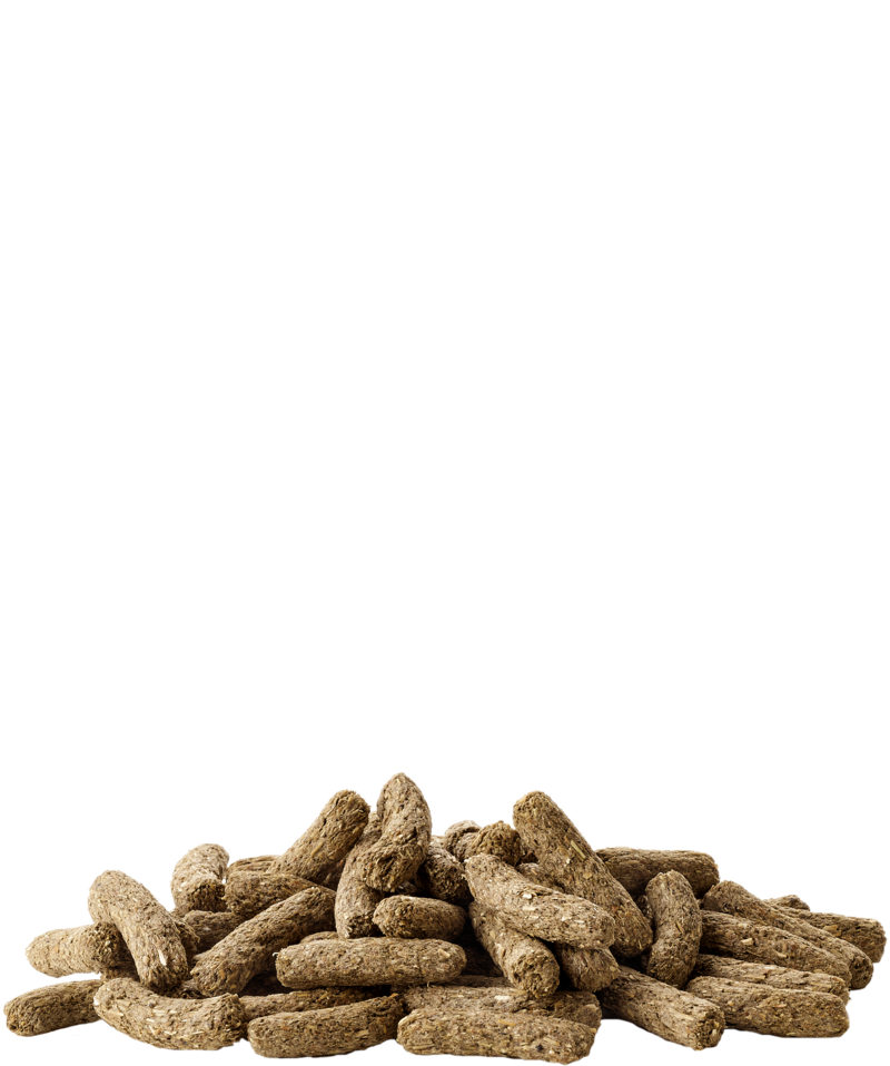 Versele-Laga CUNI Complete 500g