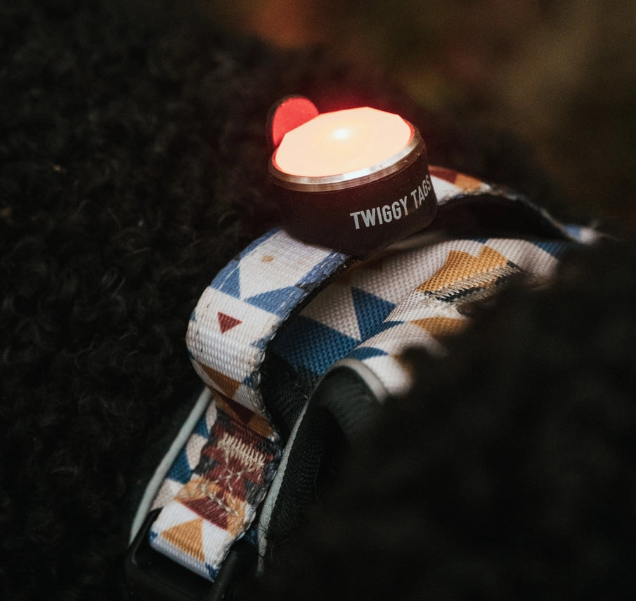 Trekbright™ nastavljiva polnilna varnostna lučka za pse