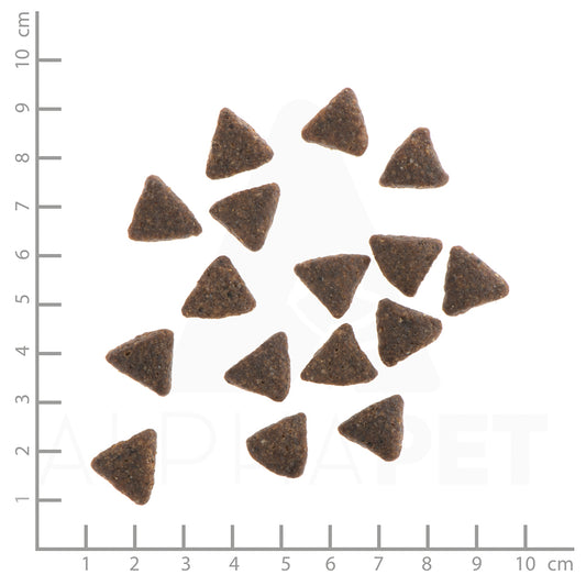 Wildes Land DOG CLASSIC Konj s krompirjem in divjimi zelišči
