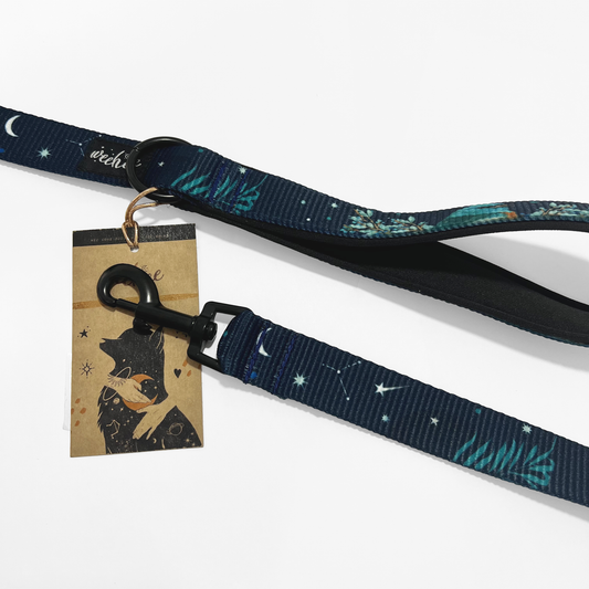 Weehee CityLeash ARGENTUM BIRD