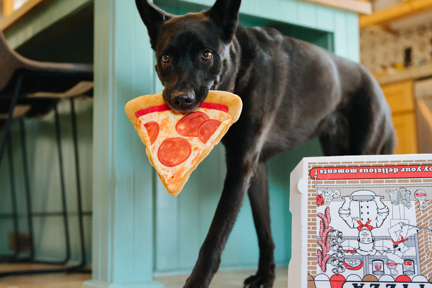 P.L.A.Y. Puppyroni Pizza