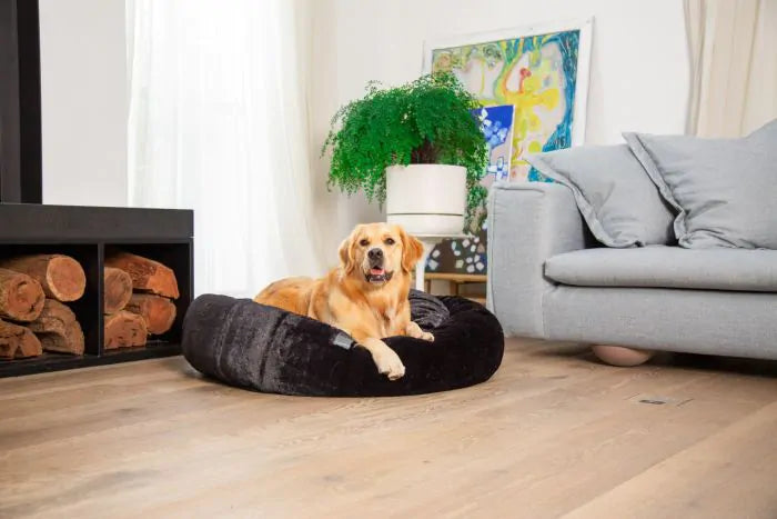 FuzzYard Dreameazzzy Bed Black