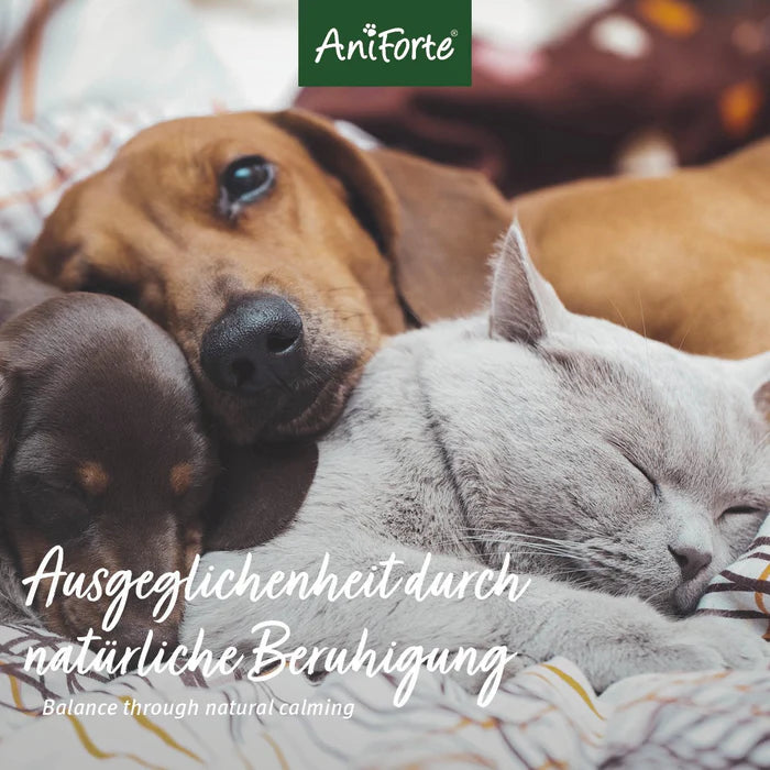 AniForte STORM&FIREWORKS - Bachove cvetne esence za pomiritev
