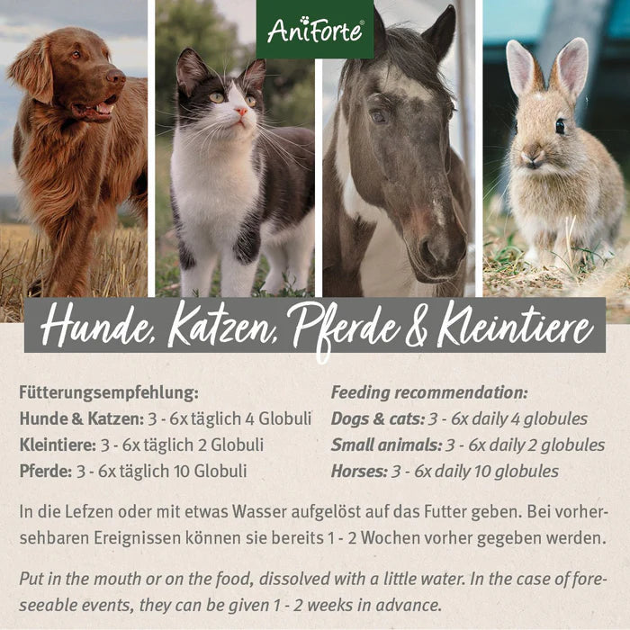 AniForte STORM&FIREWORKS - Bachove cvetne esence za pomiritev