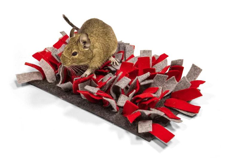 Bunny SnuffleMat rdeče/siva