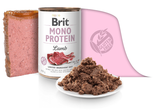 BRIT CARE MonoProtein Jagnjetina 400g