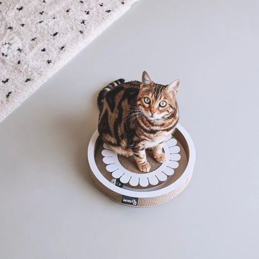 DISTRICT 70 BLOOM interaktivna igračka