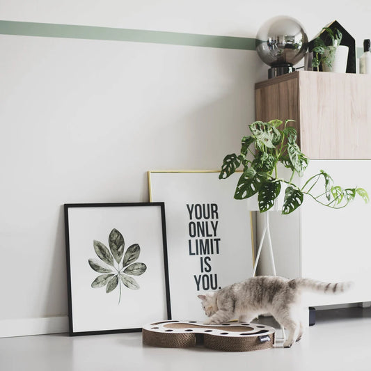 DISTRICT70 Interaktivna igrača snake bela