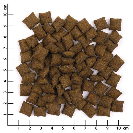 Wildes Land Hrustljave blazinice LOSOS & PIŠČANEC 50g