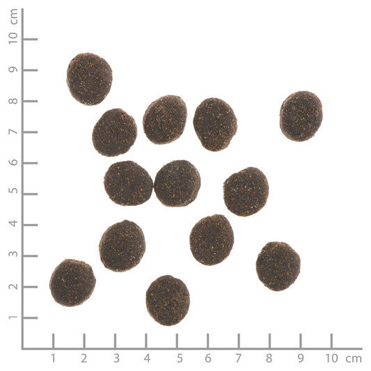 Wildes Land DOG CLASSIC Kunec s krompirjem in divjimi zelišči