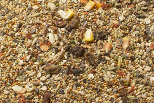 JR Farm DNEVNA HRANA Hrčak 600g