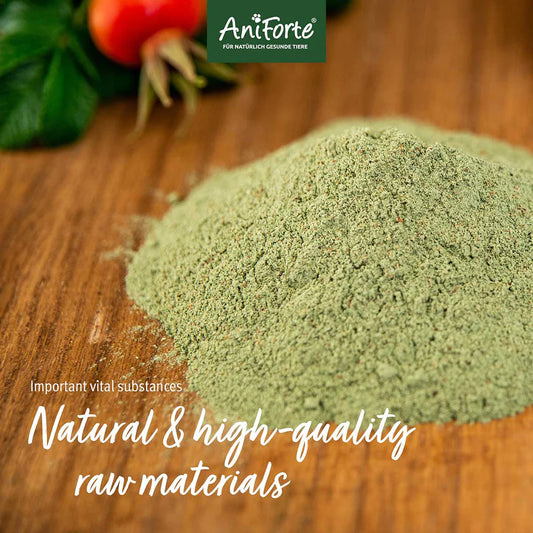 AniForte Junior Active 250g