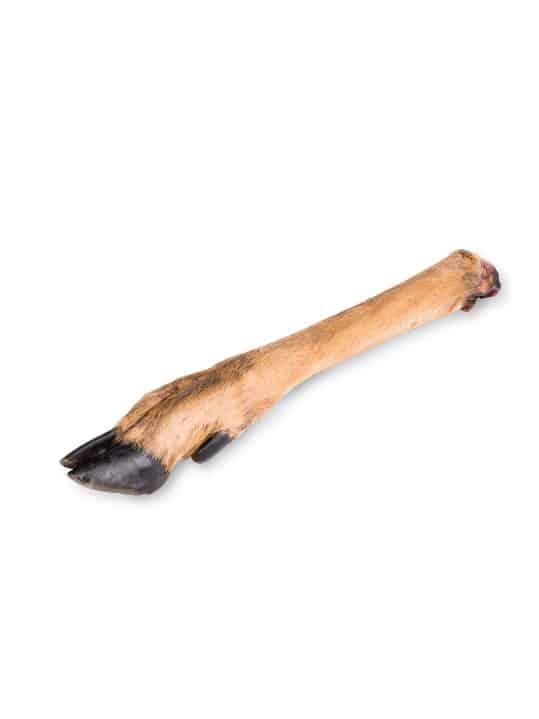 Kweeoo srnina taca 1 kos