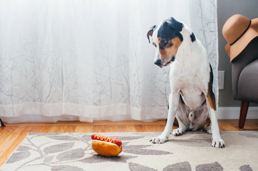 P.L.A.Y. Ameriški Hot dog
