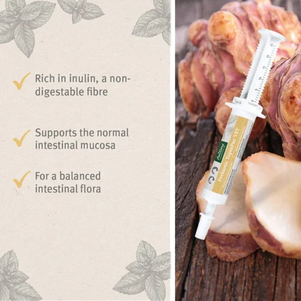 AniForte TopinPur VET - Prebiotička pasta 30ml - Prirodni regulator crijeva za pse i mačke