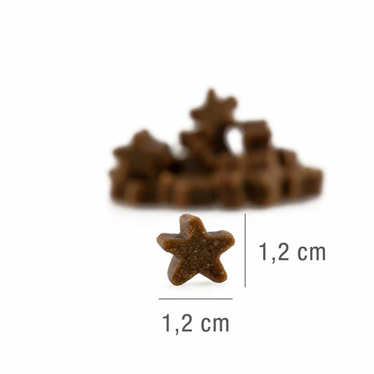 Salmon Stars 185g- losos