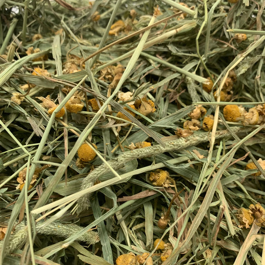 Bunny Nature svježe sijeno s kamilicom 500g