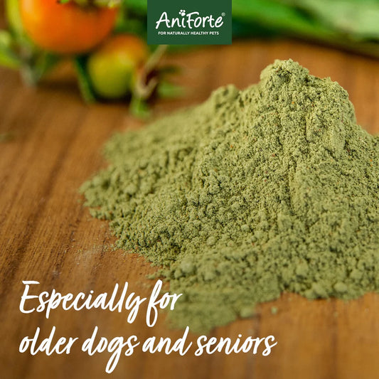 AniForte Senior Active 250g