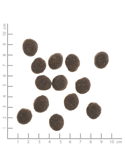 Wildes Land DOG CLASSIC Raca s krompirjem in divjimi zelišči