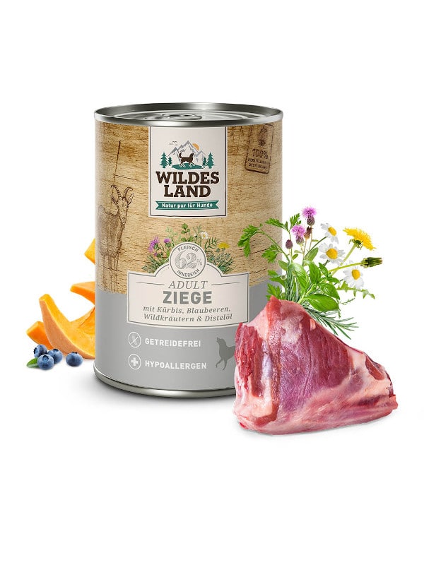Wildes Land DOG CLASSIC Koza z masleno bučo in borovnicami