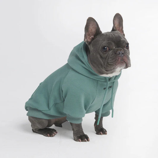 SPARK PAWS Hoodie za pse tirkizne L
