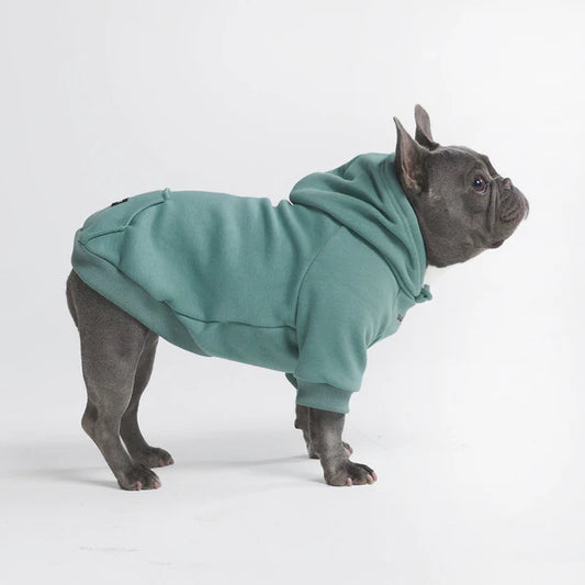 SPARK PAWS Hoodie za pse tirkizne L