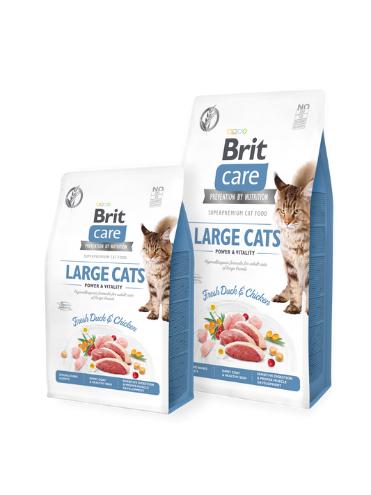 BRIT CARE GrainFree Large Cats
