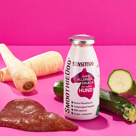 SMOOTHIE DOG - Pasji smoothie - za občutljivčke (konj)