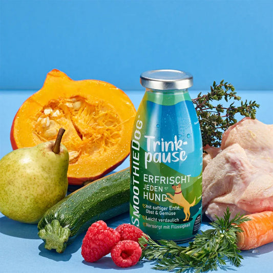 SMOOTHIE DOG - Pasji Smoothie – Raca (Drink Break)