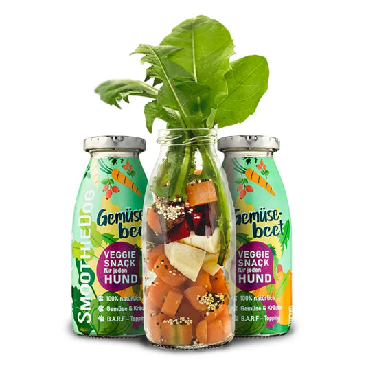 SMOOTHIE DOG - Pasji Smoothie – Zelenjavni vrt