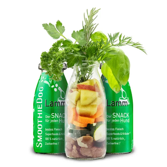 SMOOTHIE DOG - Pasji Smoothie – Jagnjetina