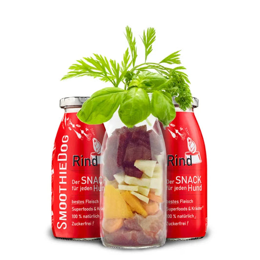 SMOOTHIE DOG - Pasji Smoothie – Govedina