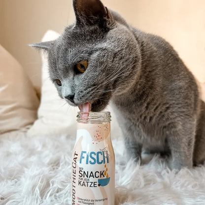 SMOOTHIECAT - Mačji smoothie - riba