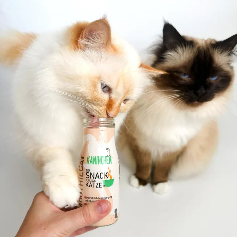 SMOOTHIECAT -  Mačji Smoothie – Kunec