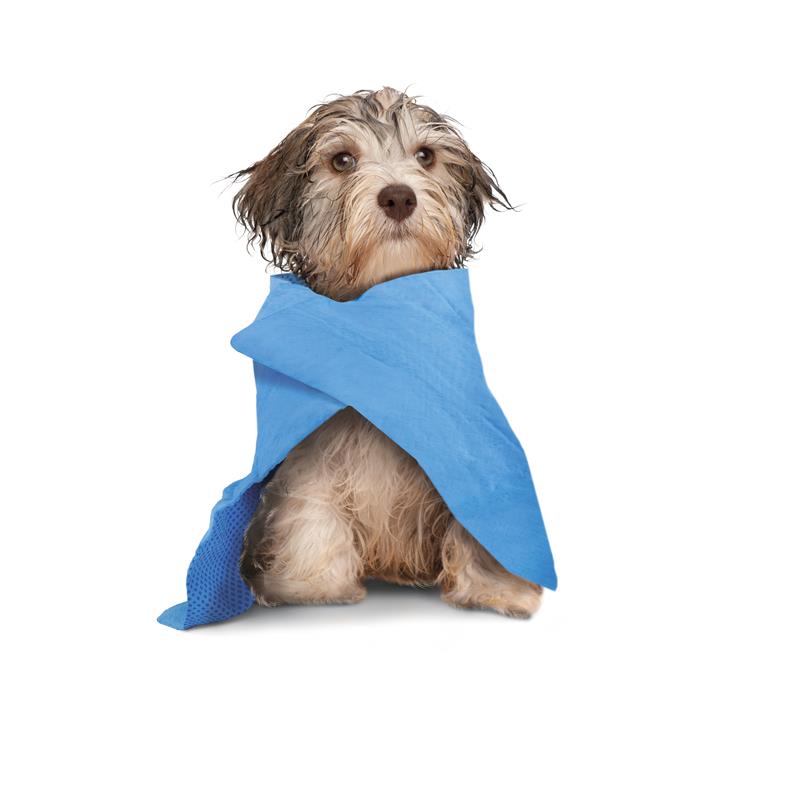 RF Cool&Dry Dog Brisač/krpa večnamenska super vpojna hladilna 66x43 cm