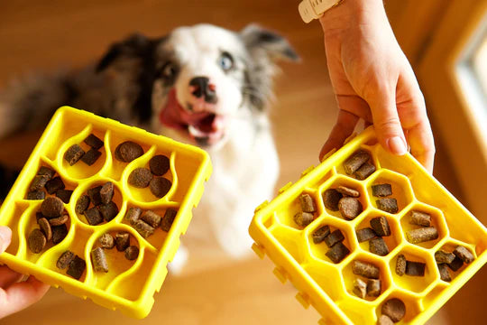 Pawdventure ANTI-STRESS Puzzle