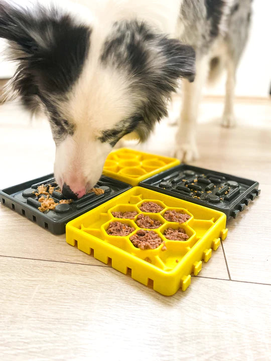 Pawdventure ANTI-STRESS Puzzle