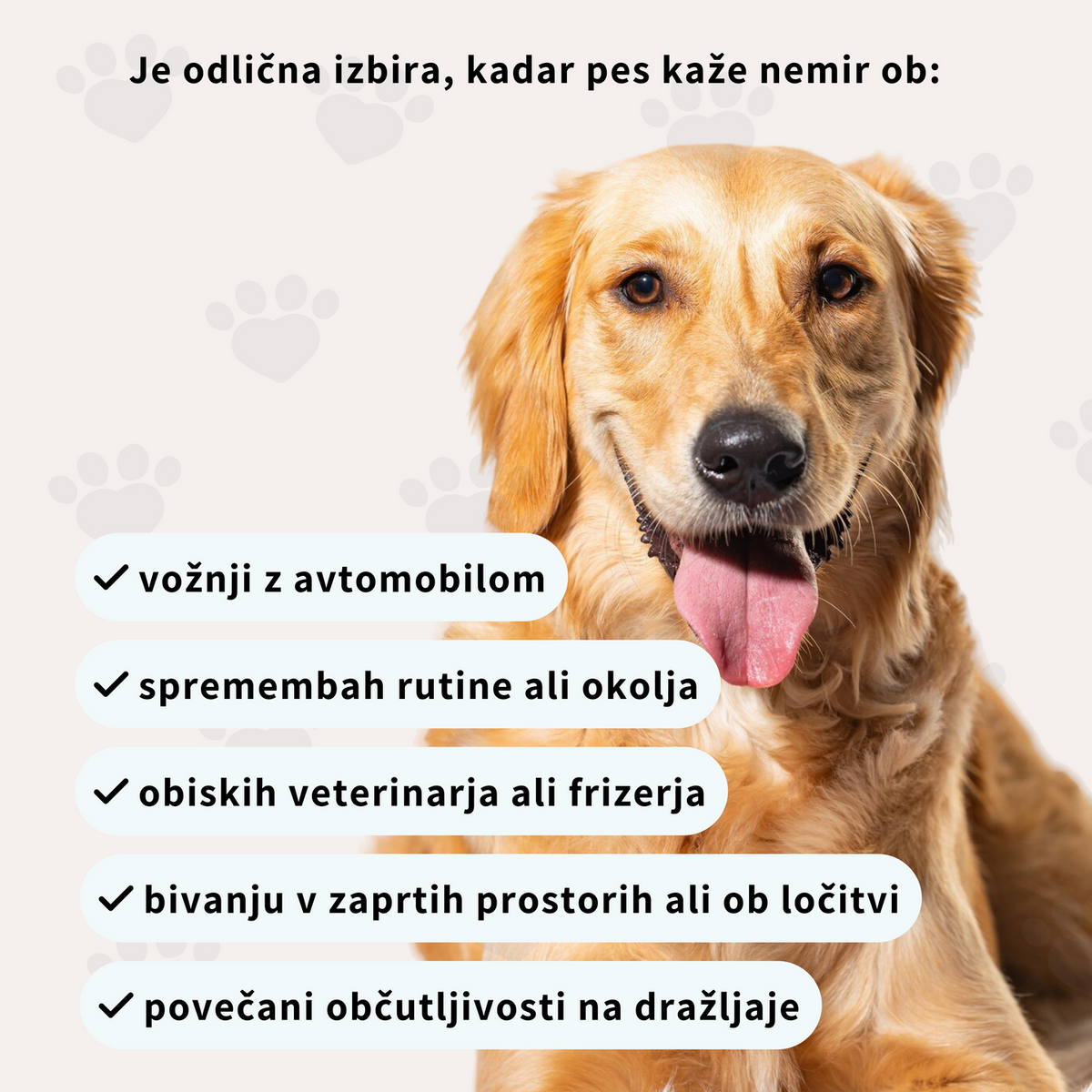 Prehransko dopolnilo za pomiritev in sprostitev psov - v obliki priboljškov