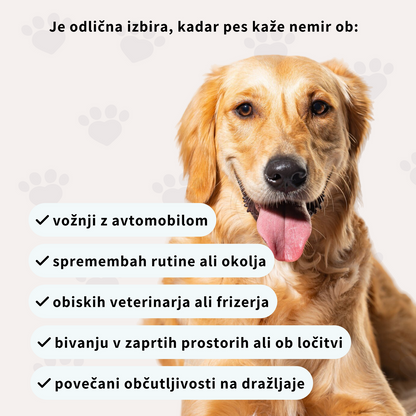 Prehransko dopolnilo za pomiritev in sprostitev psov - v obliki priboljškov