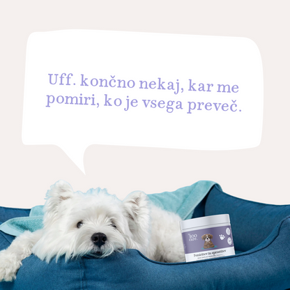 Prehransko dopolnilo za pomiritev in sprostitev psov - v obliki priboljškov