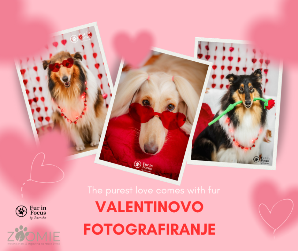 Valentinovo fotografiranje