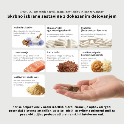 Prehransko dopolnilo s probiotiki in prebiotiki za mačke