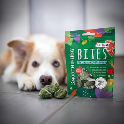 Smoothie Bites Jagnjetina – liofilizirani priboljšek